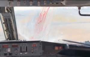 لحظه برخورد پرنده به شیشه کابین خلبان