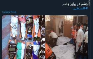 عکس/ چشم در برابر چشم