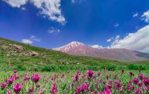 عکس/ قله دماوند در بهار