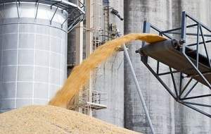 روسیه ۲۵ هزار تن گندم به کوبا اهدا کرد