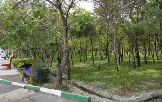 زاکانی: فروش پارک‌های تهران دروغ محض است