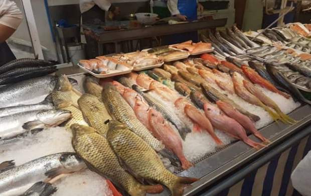 انگلیسی صحبت کردن ماهی فروش اهوازی