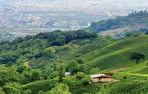 طبیعت بهترین تسکین دهنده استرس است