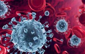 درس ویروس‌ها به سیستم ایمنی انسان