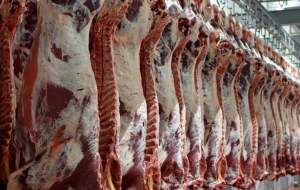 قیمت گوشت را به زیر ۳۰۰ هزار تومان می‌رسانیم
