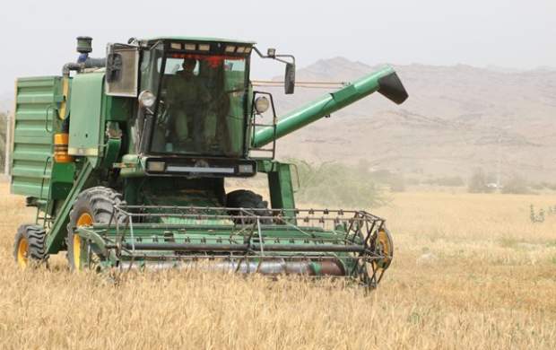 قیمت خرید گندم ۱۵ هزار تومان تعیین شد