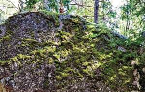 مقابله یک تخته سنگ با جاذبه زمین