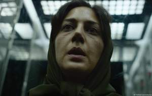 «عنکبوت مقدس» در روسیه متوقف شد