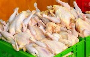 برخورد قانونی با گرانفروشی مرغ