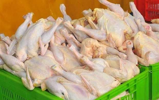 تولید مرغ در خرداد ماه از نیاز کشور بیشتر می‌شود