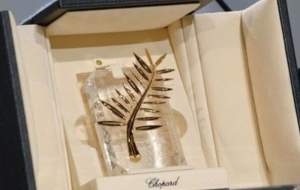 جشنواره کن برندگانش را شناخت