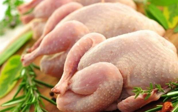 مجوزی برای واردات مرغ از بلاروس صادر نشده