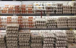 قیمت جدید تخم مرغ بسته بندی شده اعلام شد