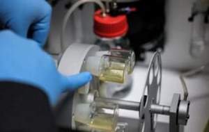 جنین مصنوعی انسان ساخته شد