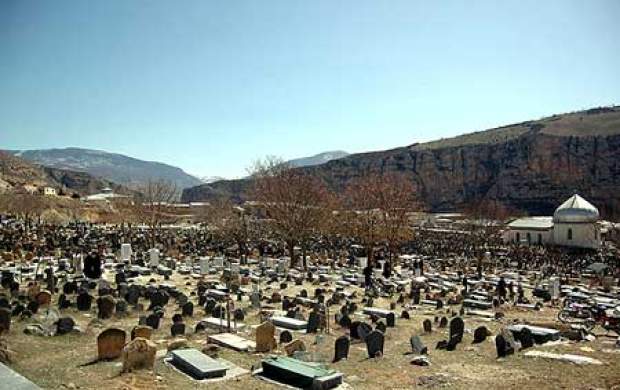 حضور حیواناتی عجیب در قبرستان تهران +فیلم