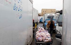 خریدوفروش مرغ در پس‌کوچه‌های میدان بهمن‌