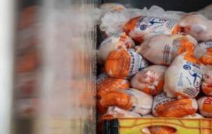 قیمت مرغ در تهران به ۱۰۰ هزار تومان رسید