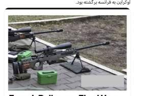 گاوشون زایید + عکس