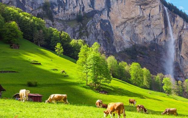 فیلم/ فضای زیبا و هوای آفتابی در سوئیس