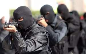 گروگانگیری وحشیانه دلاری در تهرانسر