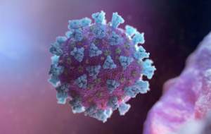 شیوع سویه جدید کووید در آمریکا