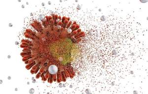 سویه جدید کرونا به ایران نرسیده است