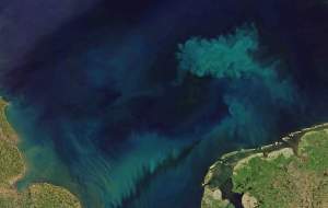 منشاء تغییر رنگ اقیانوس‌ها چیست؟