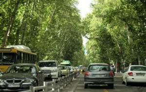 علت قطع کردن ۱۷۹ درخت در خیابان ولی‌عصر