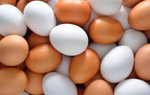 دلیل افزایش قیمت تخم‌مرغ چیست؟
