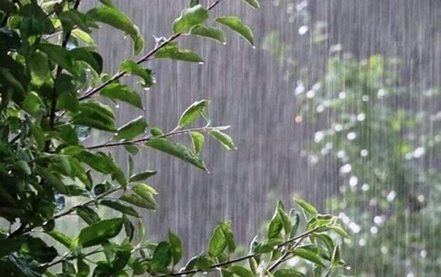 تداوم بارش باران در شمال کشور