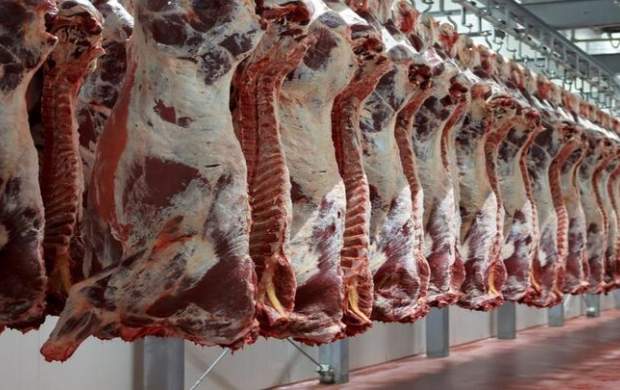 مروری بر وضعیت گوشت قرمز در بازار