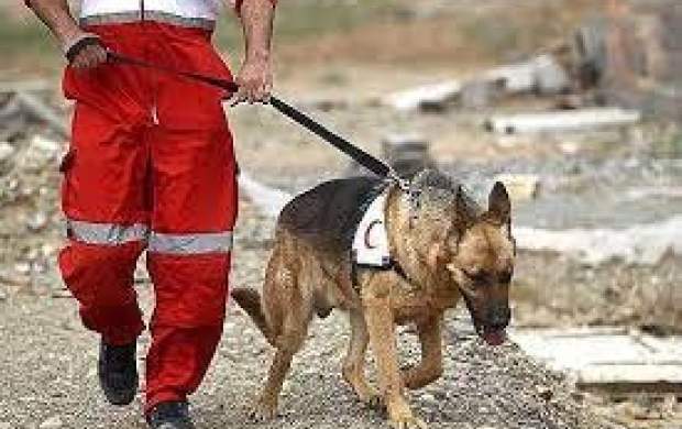 سگ‌های زنده‌یاب ایران در ویرانی‌های افغانستان