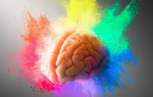 تاثیر عجیب بو بر رنگ‌هایی که می‌بینیم