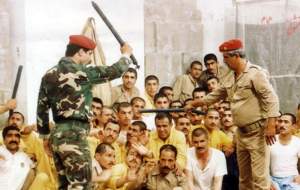 خوشمزه‌ترین پرتقال عمرم در اسارت