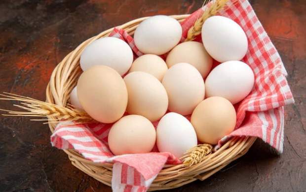 افراد سالم هر روز یک عدد تخم مرغ بخورند