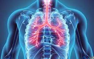 عادت‌هایی که به ریه شما آسیب می‌زند  <img src="https://cdn.jahannews.com/images/video_icon.png" width="16" height="16" border="0" align="top">