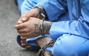 دستگیری سلبریتی‌های فضای مجازی