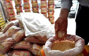 کاهش ۴۰ درصدی واردات برنج هندی