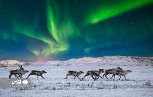 شفق قطبی؛ پدیده‌ جذّابِ جوّی  <img src="https://cdn.jahannews.com/images/picture_icon.png" width="16" height="16" border="0" align="top">