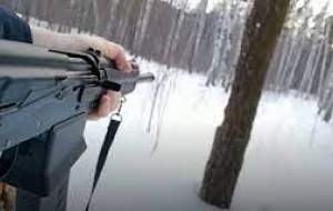 فیلم/ قطع کردن تنه یک درخت با تفنگ  <img src="https://cdn.jahannews.com/images/video_icon.png" width="16" height="16" border="0" align="top">