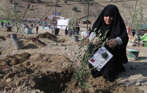 ۵ هزار نهال به یاد زنان و کودکان غزه کاشته شد