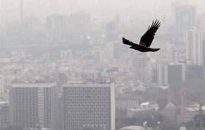 تداوم آلودگی هوای تهران طی ۴ روز آینده