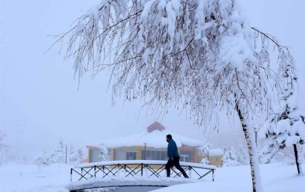 بارش زیبای برف در ترکیه +فیلم