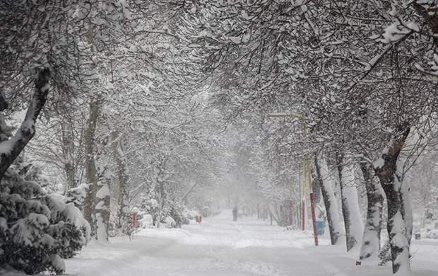فیلم/ بارش برف در اردبیل