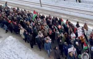 راهپیمایی در سرمای شدید نروژ برای غزه