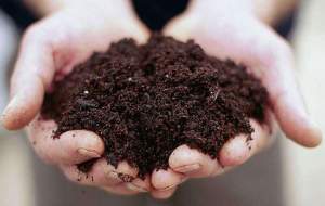 دخترانی که پهلوی‌ها شوهر دادند!