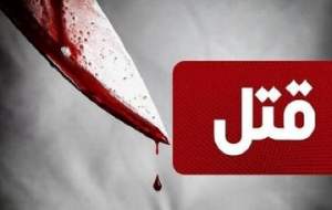 قاتل برف را عامل قتل مقتول معرفی کرد!