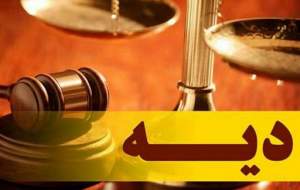 فرصت پرداخت دیه توسط بیمه چه مدتی است؟