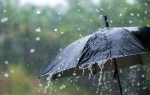 آغاز بارش باران از شب گذشته در ۱۷ استان
