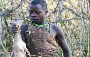 قبیله‌ای که از شکار شیر غذایش را تامین می‌کند  <img src="https://cdn.jahannews.com/images/video_icon.png" width="16" height="16" border="0" align="top">